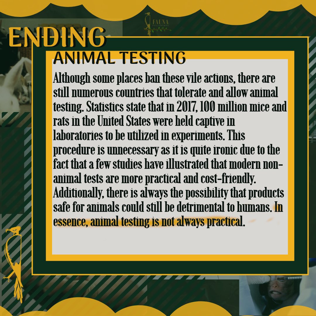 FaunaPh's tweet photo. ‼️ 𝗘𝗡𝗗𝗜𝗡𝗚 𝗔𝗡𝗜𝗠𝗔𝗟 𝗧𝗘𝗦𝗧𝗜𝗡𝗚 ‼️

This is a CATastrophe🙀

Did you know that tHARE 🐰 are animals out there being used as experiments?! Suffering to be sacrificed for the products used for human consumption... 😿

(1/3) https://t.co/si05te6yXQ