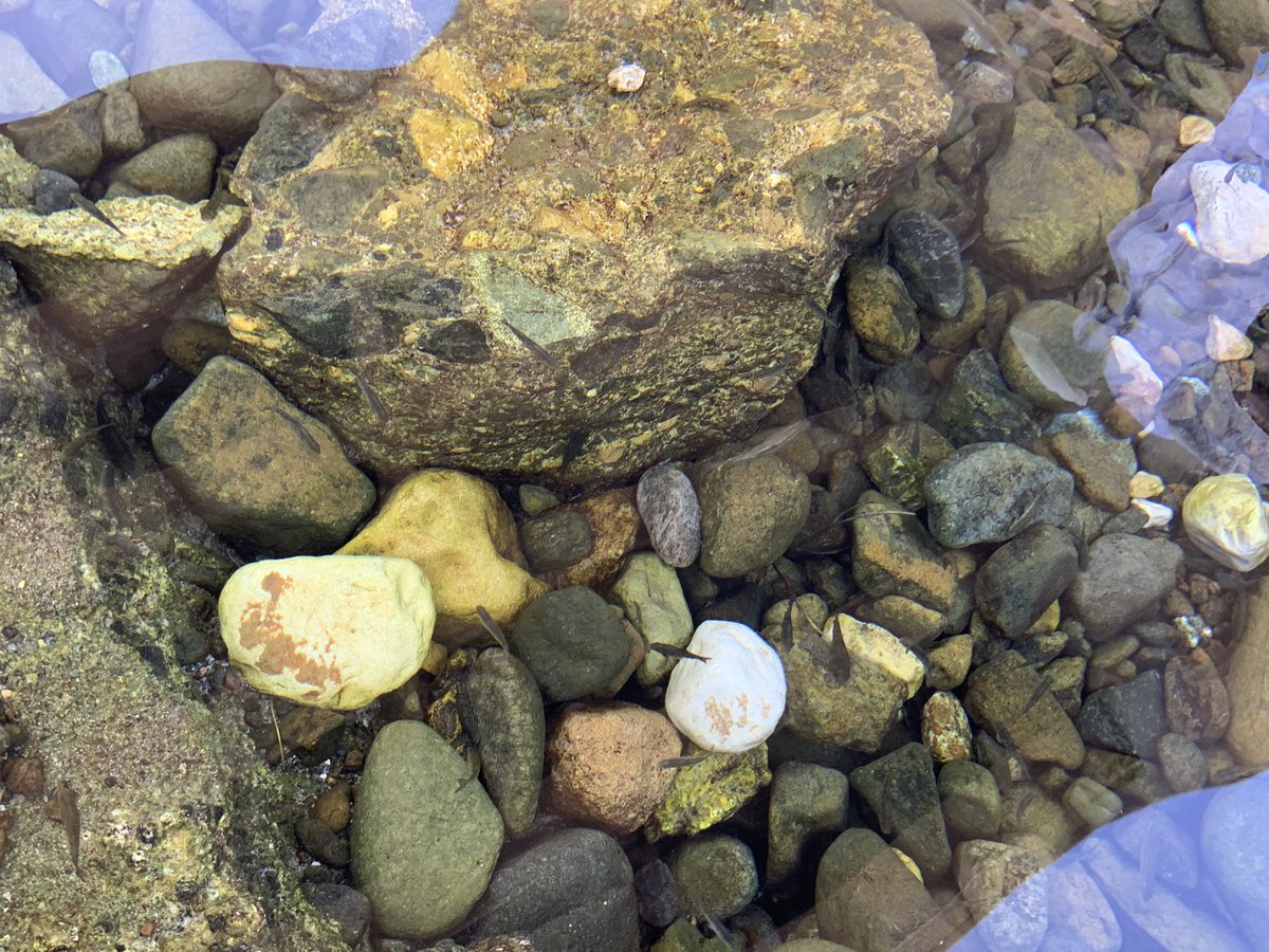 اللهم اذقنا حلاوة جبر الخاطر ، والنظر بعين التفاؤل إلى الوجود،
لنرى الجمال بمفرداته شائعًا في كل ذراته، ومغمورين بنعم الله السابغه علينا والحمدالله رب العالمين حمداً كثيراً طيبًا مباركًا فيه .🌿
#صباح_الخير 
#الأجواء_الجميلة