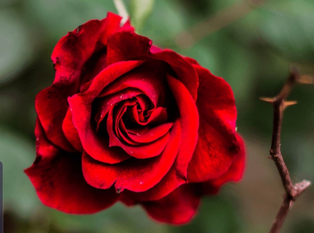 ‏‏B..Alanzi tweet media