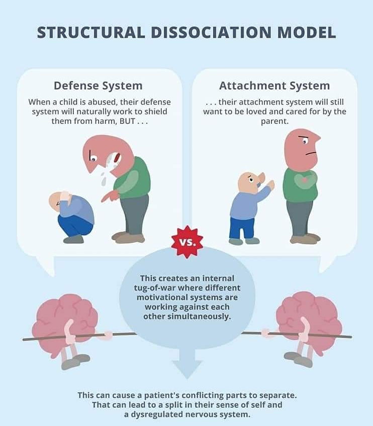 Pieceintopeace's tweet photo. Structural dissociation causes the inability to regulate emotions and a chronic feeling of emptiness within.  Under normal circumstances, you would want to avoid your abuser and never go back to them. When you are a child, however, you have no option but to stay.

#endchildabuse https://t.co/Gb4a1CuY2c