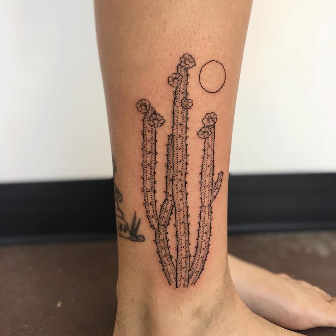 piercingandmods's tweet photo. Cactus leg tattoo by https://t.co/fsS1HXqSI9. Follow her on Instagram! 🌵 

https://t.co/FyWwAWIT8c

#tattoo #legtattoo #cactustattoo https://t.co/MFADXYM6s3