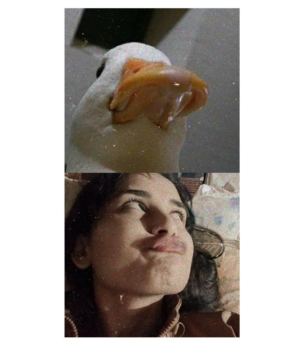 basnetshikha1's tweet photo. Who did it better? https://t.co/gE47szxiG9