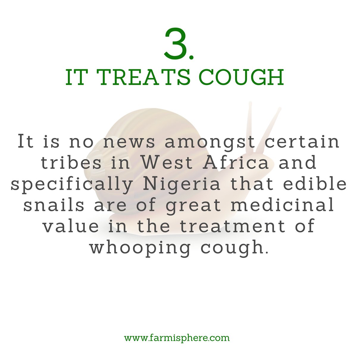 farmisphere's tweet photo. Snail meat has so many medicinal values, one of the outstanding values is the usefulness in treating whooping Cough.
#SelfCareWeek 
#tuesdaymotivations #weightloss #Trending #sangeberat https://t.co/fme2sh4RtF
