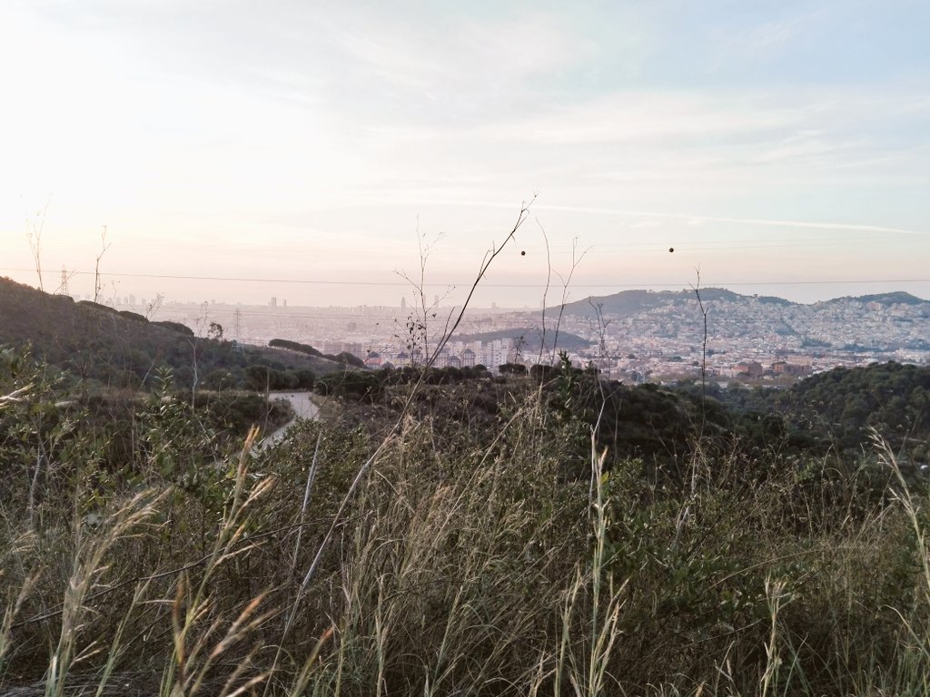 mec_mooc's tweet photo. Si falta aire..a buscar pulmons! #Collserola #bondia #bicistyle https://t.co/I3dLoDrWp1