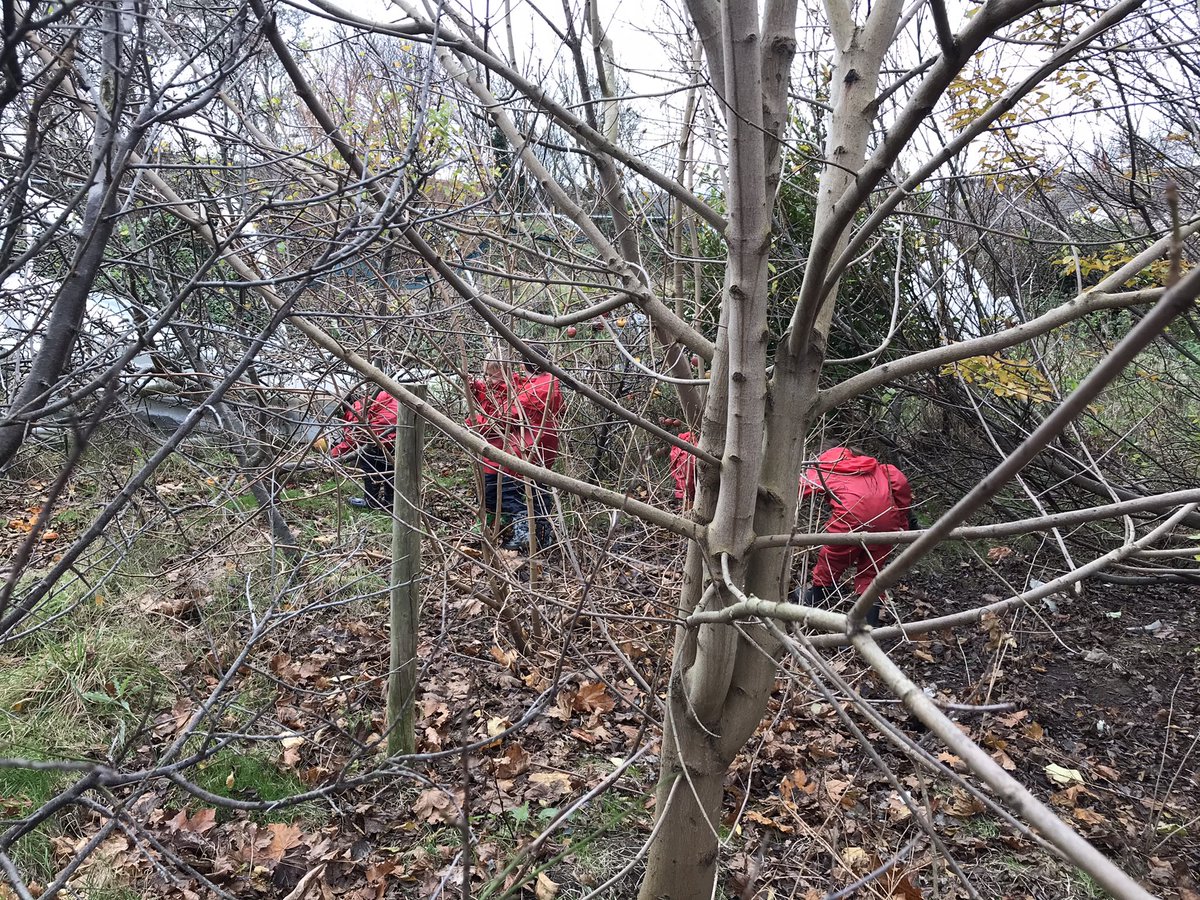 MrsBatemanFS's tweet image. All go with year 1 yesterday: exploring, digging and giggling.