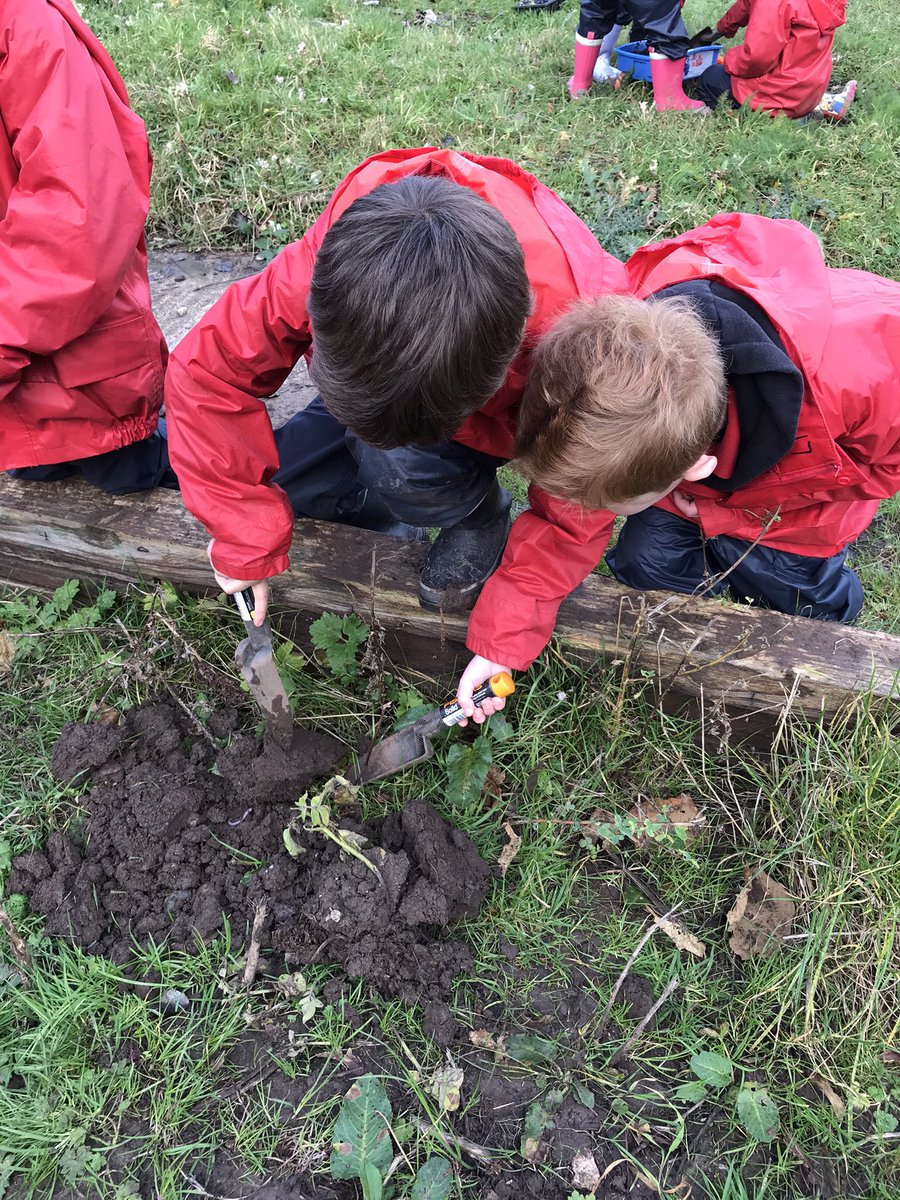 MrsBatemanFS's tweet image. All go with year 1 yesterday: exploring, digging and giggling.