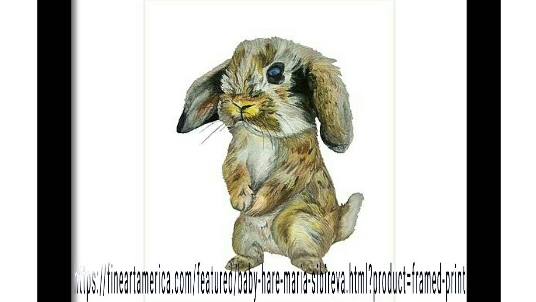 MariiaSibireva's tweet photo. New #art for sale in my store on #FineArtAmerica : https://t.co/hZFZWMhg4N
#hare #babyhare #cutehare #littlehare #cuteanimals #wallart #gifts #forkids #forchildren #nurseryroom #Christmasgifts #xmasgifts #buyart #NewYearsgifts #giftsforanimallovers #homedecor https://t.co/GzJ3xcx3W5