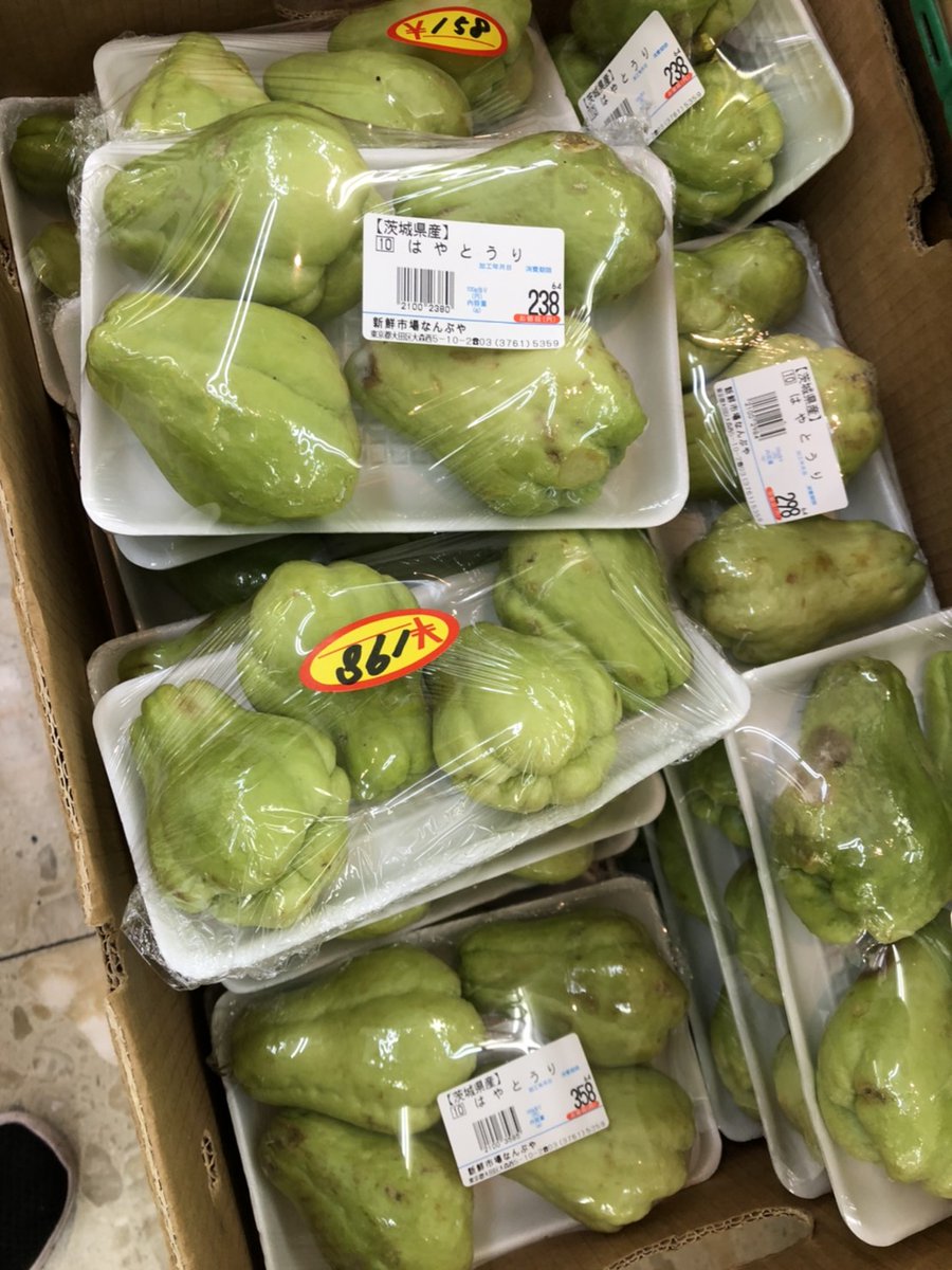 ハヤトウリ Pencarian Twitter