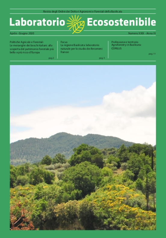 La foto della copertina del 29 numero di Laboratorio ecosostenibile - on line su agronomforestalipotenza.it - agronomimatera.com <a href="/agroforpz/">agronomiforestalipz</a> <a href="/AFMatera/">AgronomiForestaliMT</a> <a href="/_conaf/">@CONAF</a> <a href="/SabrinaDiamant7/">Sabrina Diamanti</a>