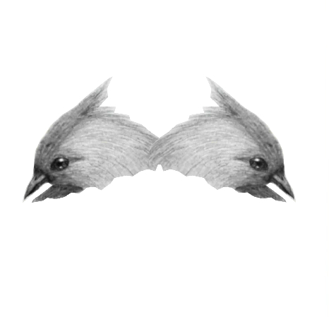 robinmouse1 tweet picture