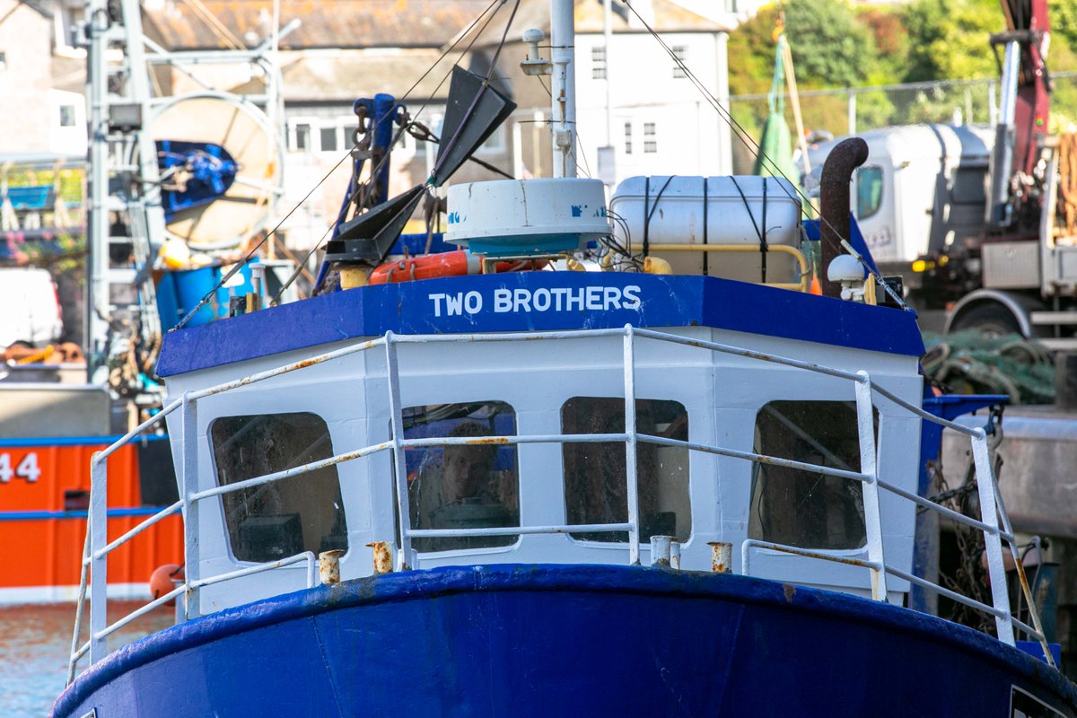 fishsarah's tweet photo. .@FisheliciousUK @ThroughTheGaps Pesky Fish Brixham market about to open at 8.00am - bumper catch today from the two Darrens - BM516 and BM33  Hurry whilst stocks last ... 🐟🐟🐟🐟🐟 https://t.co/EhQCGn587m #homedelivery #brixhamfish #loveseafood #eatmorefish #discoverseafood https://t.co/Fj97dej60k