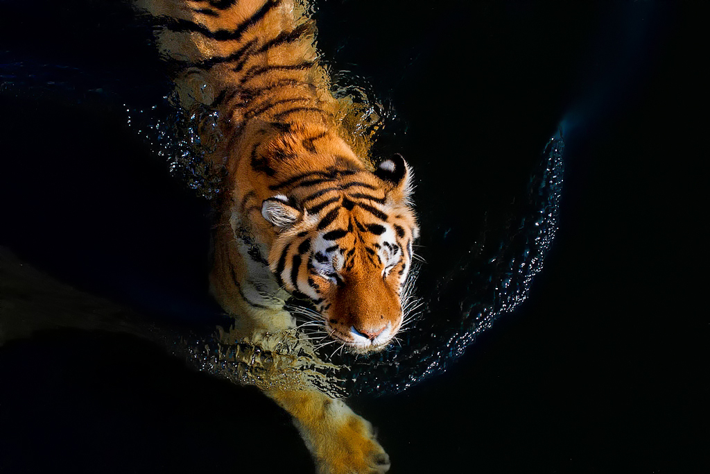 Photographer (@star192323) on Twitter photo 