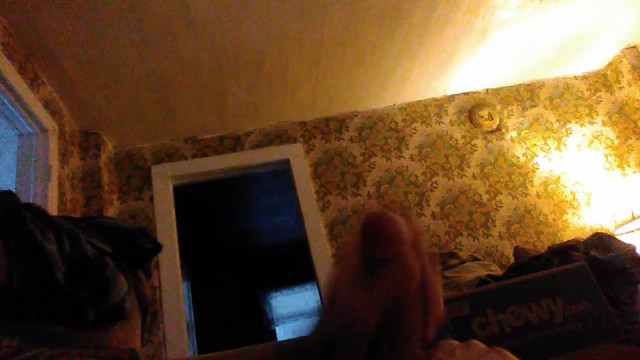 Bobbuschor’s pics and videos