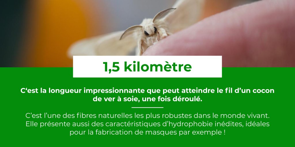 [ LE SAVIEZ-VOUS ? #21 ]

🎀 Les tissus en soie sont d’une durabilité hors pair en plus d’offrir un touché « soyeux » et un éclat brillant caractéristique. En contrepartie, ils coûtent environ 20 fois plus chers que les tissus classiques ! 

#nature #COVID #textile