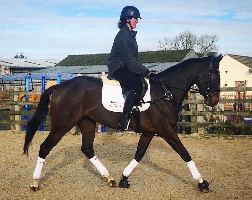 Better4Hooves tweet media