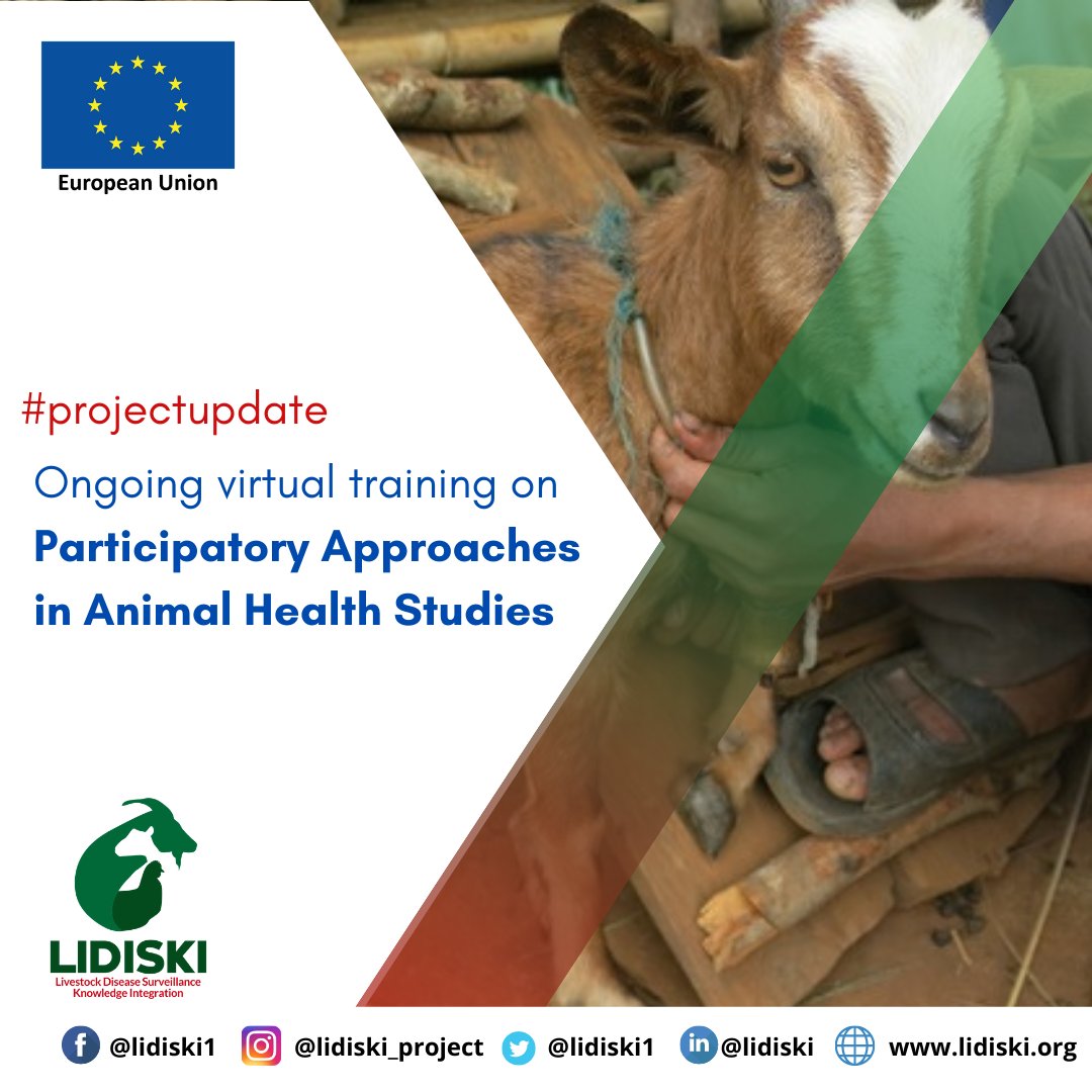 LIDISKI1's tweet photo. The training on Participatory approaches in epidemiology
and socio-economics is ongoing with field activities in view.
@Cirad is the lead partner in charge of the virtual training.
Funded by @EUinNigeria
#Capacitybuilding #Animalhealth #Vets #CAHWs #paravets @nvrivom https://t.co/xW35sIuKRU