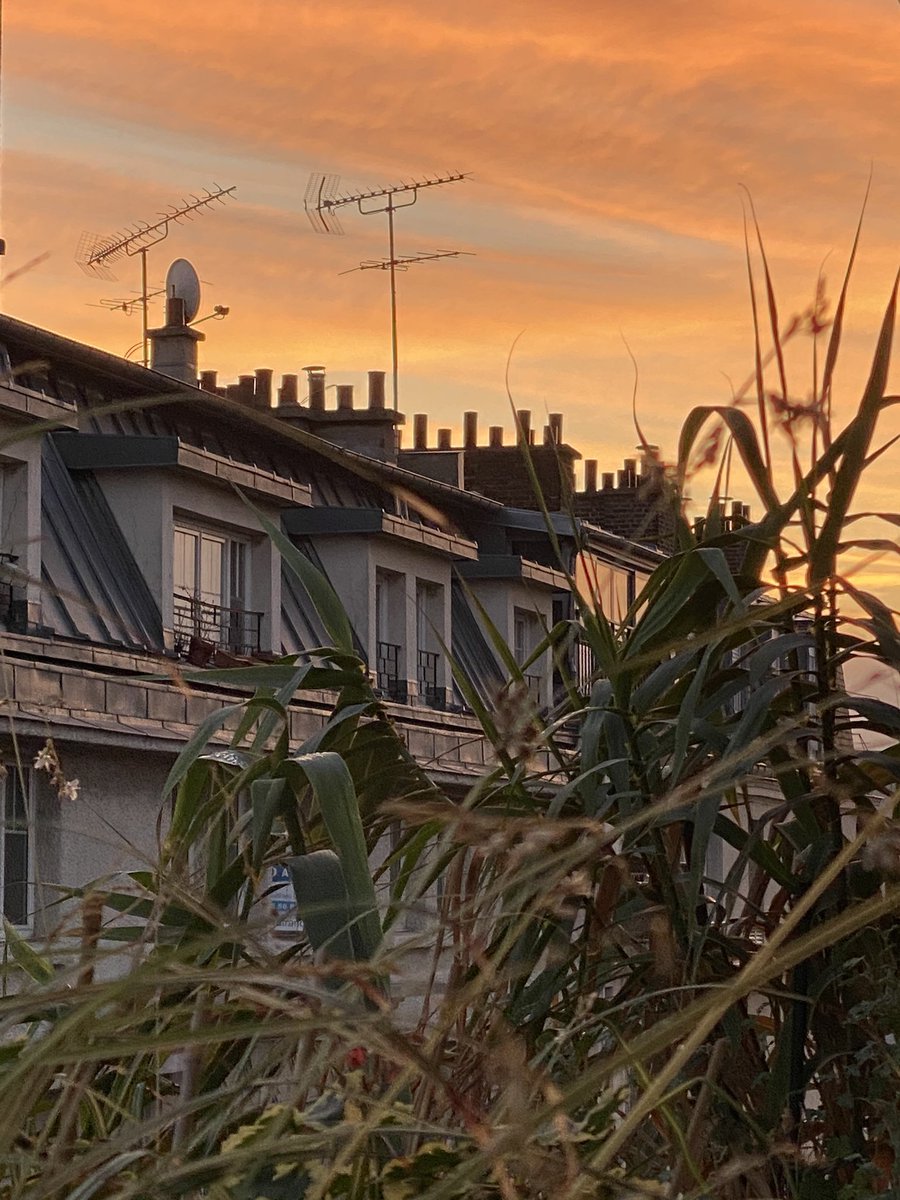 alaindelavie's tweet photo. Ce mardi matin 24 novembre depuis mon balcon parisien. #automne #automne2020 #ciel #cieldeparis #leverdujour https://t.co/TmIVsqwMvW
