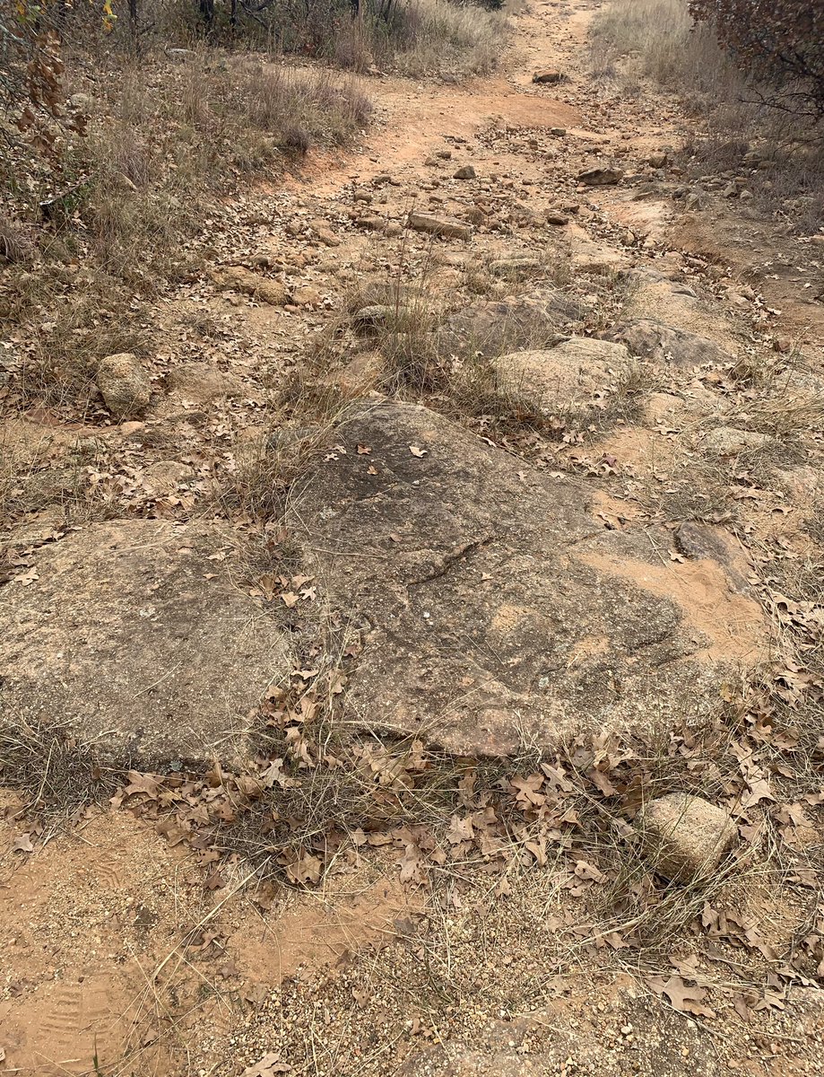 BRYAN CONGER tweet media