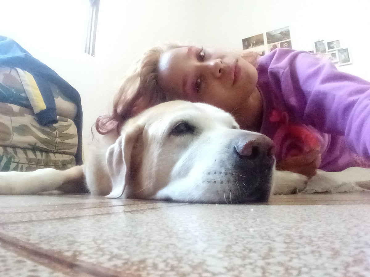 tinker_quel's tweet photo. o veterinário disse que o Scoob pode ir embora hoje, daqui seis meses ou daqui alguns anos e acordar todo dia sem saber se vai ser o último tem sido bem ruim então vou fazer uma thread com fotinhos dele pra nunca esquecer do melhor amigo que uma Rachel de 8 anos podia querer https://t.co/c3FsPTdmsx