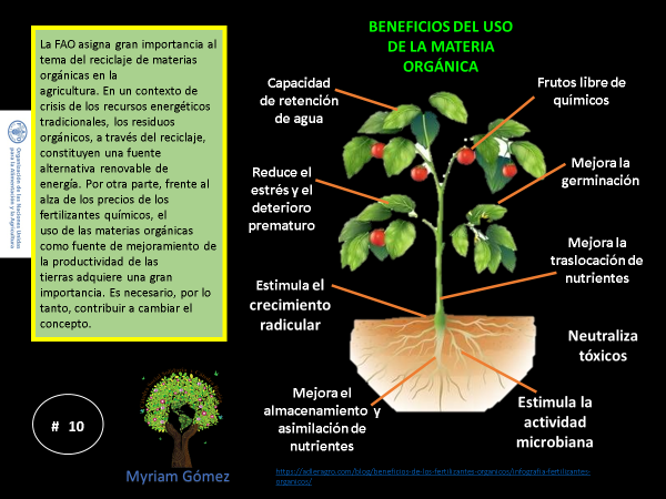 AccinSolidaria3's tweet photo. Los residuos orgánicos una buena alternativa renovable.
#SERVICIOSOCIALUNADISTAENCASA #residuosorganicos #agriculturafamiliar https://t.co/2RzQHvsyVw