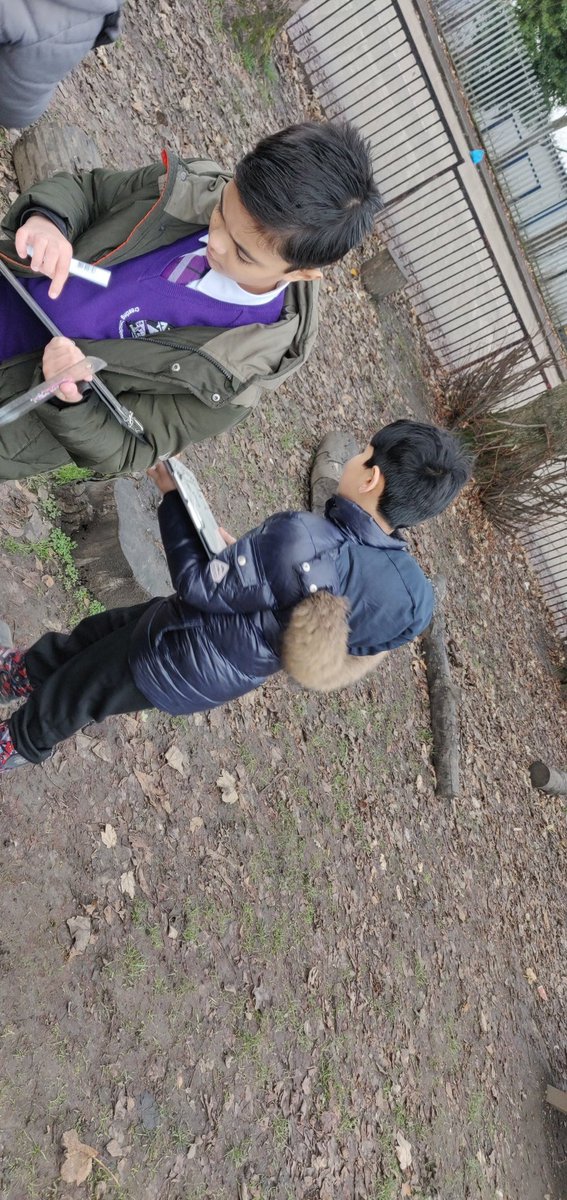 bhatti_nazish's tweet photo. #Primary45 @StAlbertsG41 are exploring measure! We found objects, sketched then measured them using a ruler π! Some #problemsolving & #perseverance helped us overcome challenges of scale, remembering to start at 0 & flipping transparent rulers #usingtheoutdoors #activemaths https://t.co/yyKwosmbdn