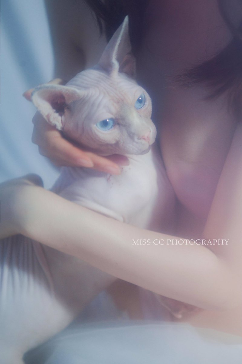 只要不期待
出现的时候就是惊喜！

摄影/@misscc520 

#私房摄影 #私房写真 #私房 #成都约拍 https://t.co/oYa9zrovSl