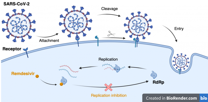 WESmith91's tweet photo. Has UK/USA science fully identified COVID-19 proteins?  https://t.co/zMbrSBUVIf https://t.co/slgcdTZOiK