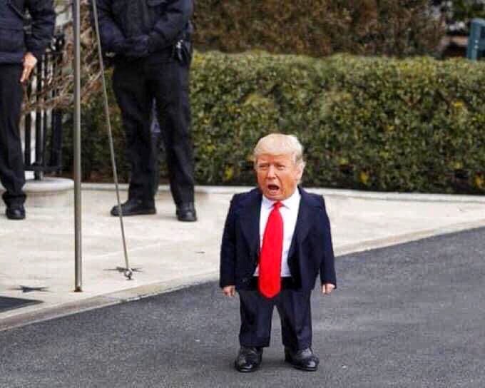 44mmvvpp's tweet image. "It's not over, I won by a whole lotta votes!"  😂
   #TrumpWho