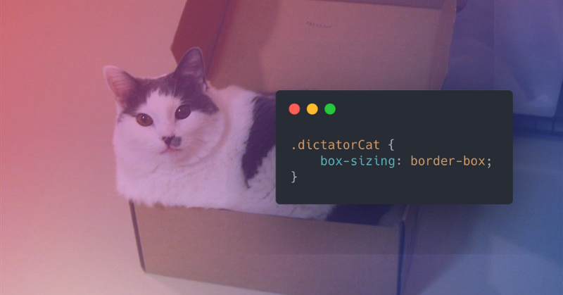 Unfortunately not every dictator can be squeezed into a box.

#CSS #programmingMemes #CatsOfTwitter