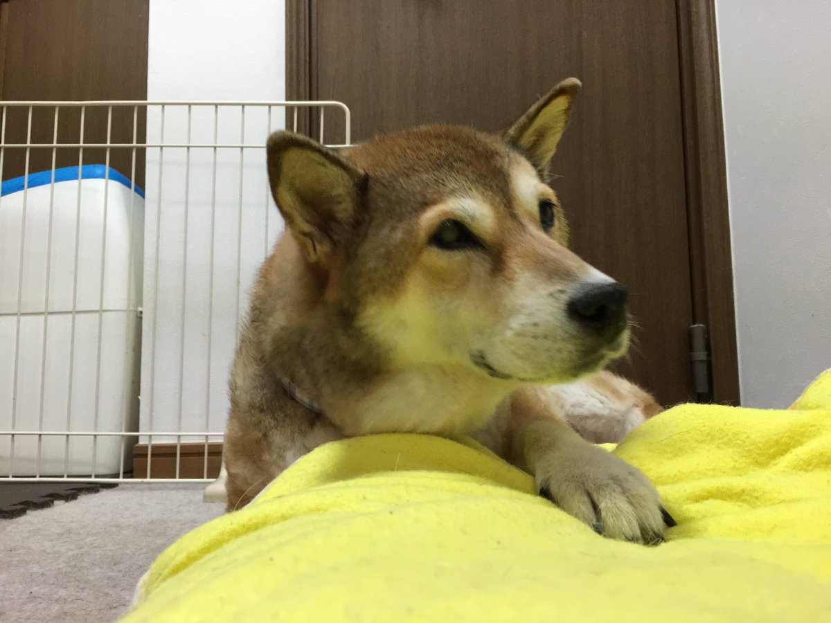 ゆずなつ Yuzunatu36 Twitter