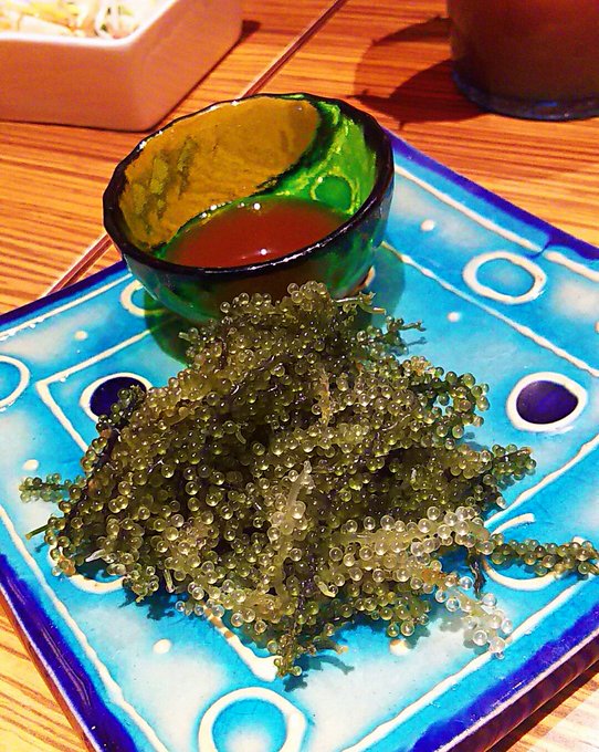 ラフテーのtwitterイラスト検索結果