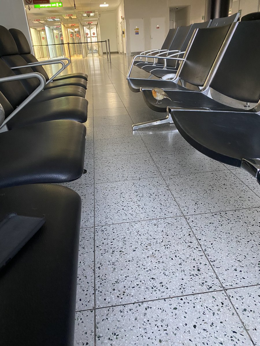 Paul McNamara tweet media