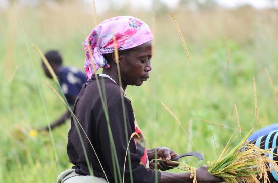 IreneKonga's tweet photo. A great #woman has #goals to #achieve regardless of what they do, some women need #support to be #built up to become the great women. #Empower all women so as to secure the future.
#Empoweringthenextgeneration
#Strengtheningwomen
https://t.co/4ENncqomAN
https://t.co/gCOKhjEm9x https://t.co/FIvCqkprmr