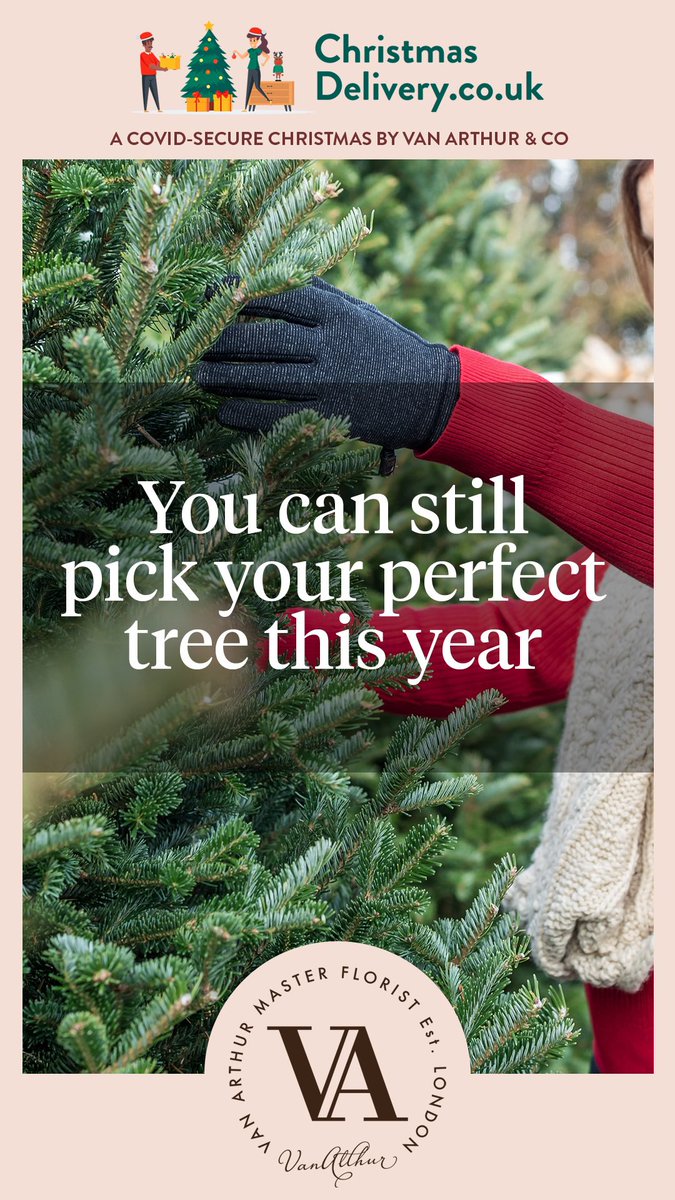 vanarthurlondon's tweet photo. Our Christmas trees are online now, and we have started deliveries as of yesterday. Order online at https://t.co/IBCgUx2gxr and we’ll bring you a selection of trees to choose from at your doorstep 🎄 https://t.co/OAid849iNz