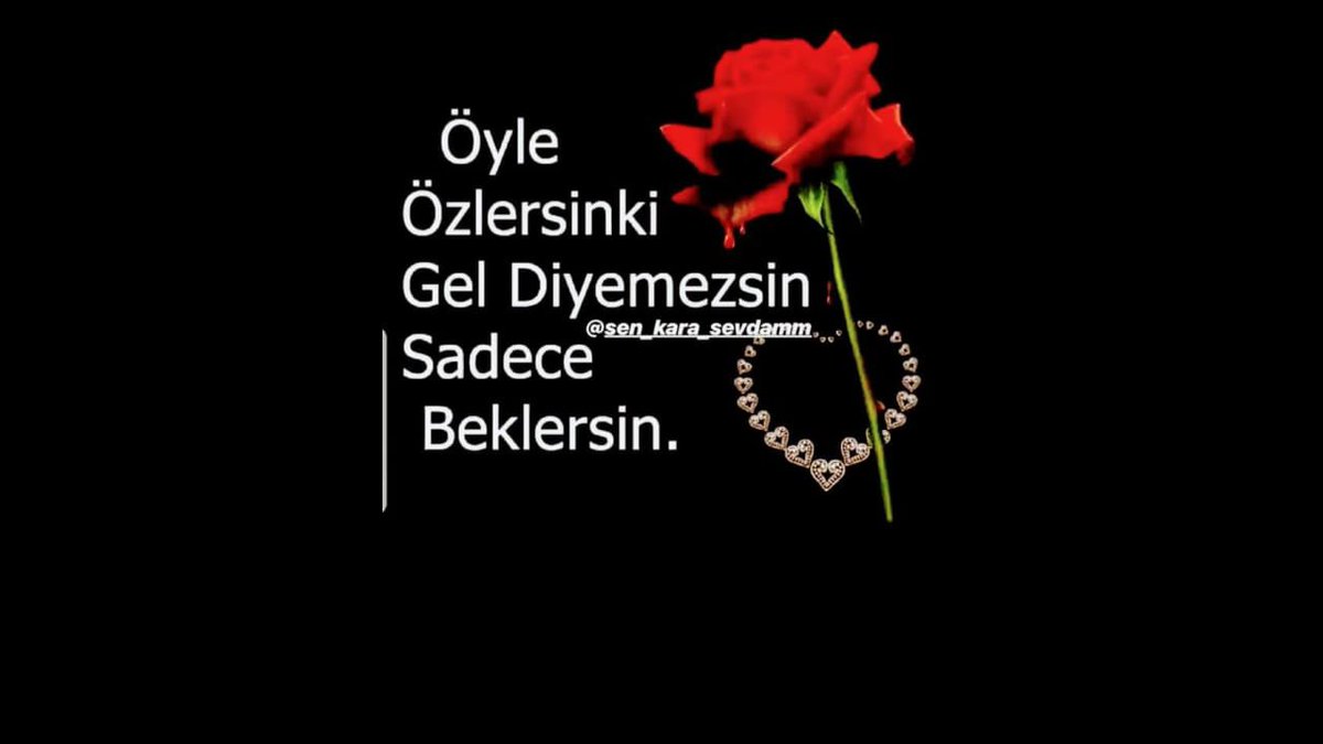 Kasımpatılar da açtı, 
Güneş çekildi ortalıktan, 
Yağmurlar başladı senfonisine
Ağaçlar acele ediyor, 
Yapraklarını soyunmak için 
Onlar da yalnızlığı seçiyor 
Bizim gibi belki, 
Kim bilir?
Hem sonbahar yalnızlık degil midir?

İnan Durak Taş