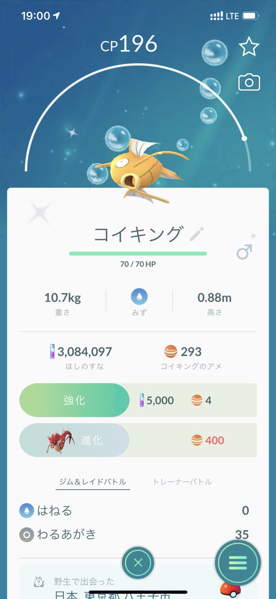 ドジョッチ Hotワード ドジョッチ Hotワード