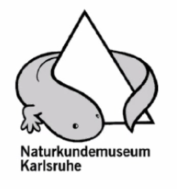 Werner_deGier's tweet photo. Can I just inform you all on the logo of the Natural history museum of Karlsruhe (Naturkundemuseum Karlsruhe) - that is all, thank you! π¦ #YSF2020 https://t.co/fC6TRf0u2L