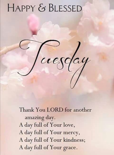 ClubChosen's tweet photo. 💐

#IAmChosen #mitchellsplain #capetown #InGodWeTrust #ChooseDay https://t.co/pn2tsk4DW2