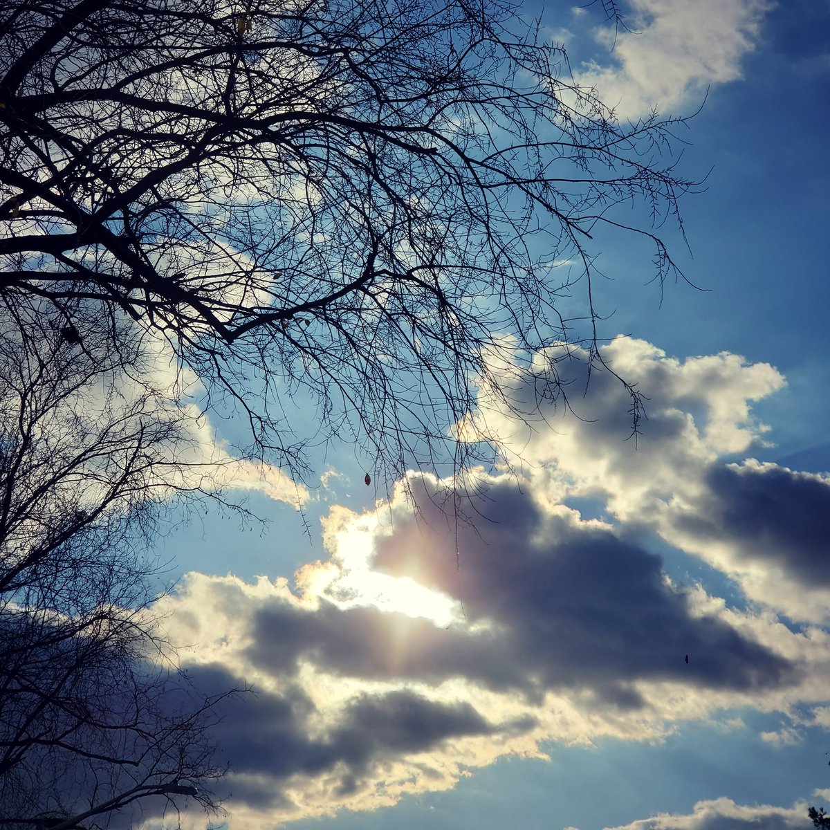 Beautynmemories's tweet photo. #bluesky #clouds #sun https://t.co/20tLVKr6aQ