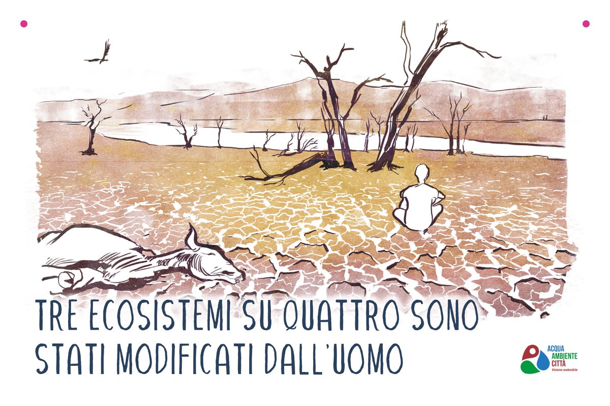 WaterCicma's tweet photo. Le zone umide coprono il 3% della superficie terrestre, ma immagazzinano il doppio di carbonio di tutte le foreste della Terra. Proteggere questi ambienti può avere un impatto sulla conservazione della biodiversità e nella lotta ai cambiamenti climatici.  
#AcquaNessunoSenza https://t.co/bmFevT4WD3