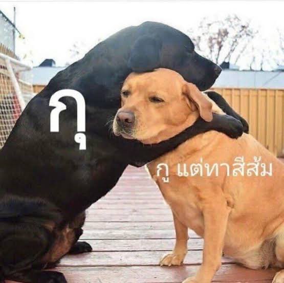 มึงไม่ใช่คนเดียวที่ยังไม่ได้ปุ่มรีทวิตคืน