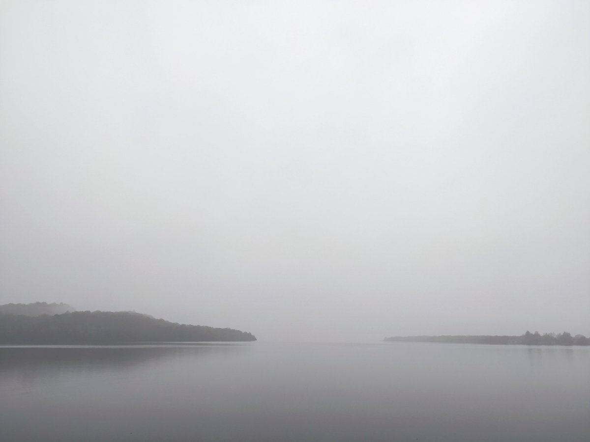 Absolutely over the moon to be back in <a href="/lomondtrossachs/">Loch Lomond & The Trossachs</a> working for <a href="/nature_scot/">Former NatureScot account</a> 🍃🌳 I've very much missed these moody scenes! Fingers crossed for a bit of sun on the next batch of post-lockdown site visits though...