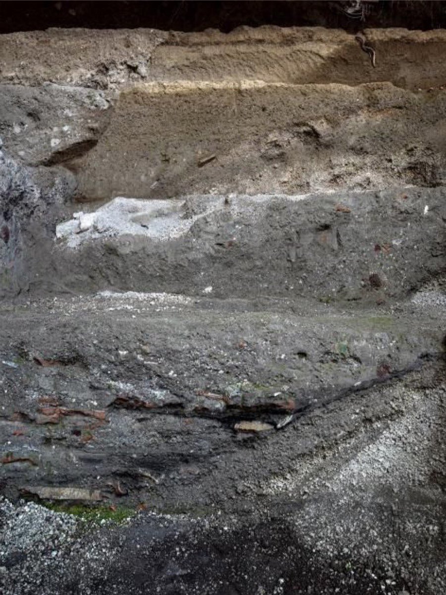 In light of the discovery of the two bodies at the villa at Civita Giuliana, we look at the process involved in excavating, recording & casting them.Volcanic ash from the eruption compacted & hardened around everything it covered. It’s in this layer of ash that voids are found.