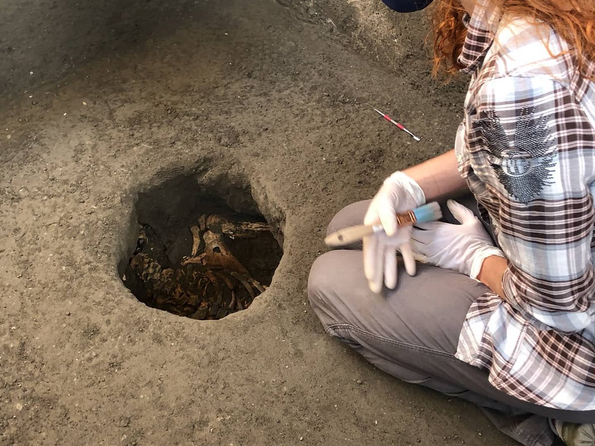 The hole in the ash was slightly enlargened to retrieve samples of the bones so that analysis can be made on them in order to determine facets of these people’s lives such as sex, age and health of the victim. The skull is usually too fragile to remove and so remains in the cast.