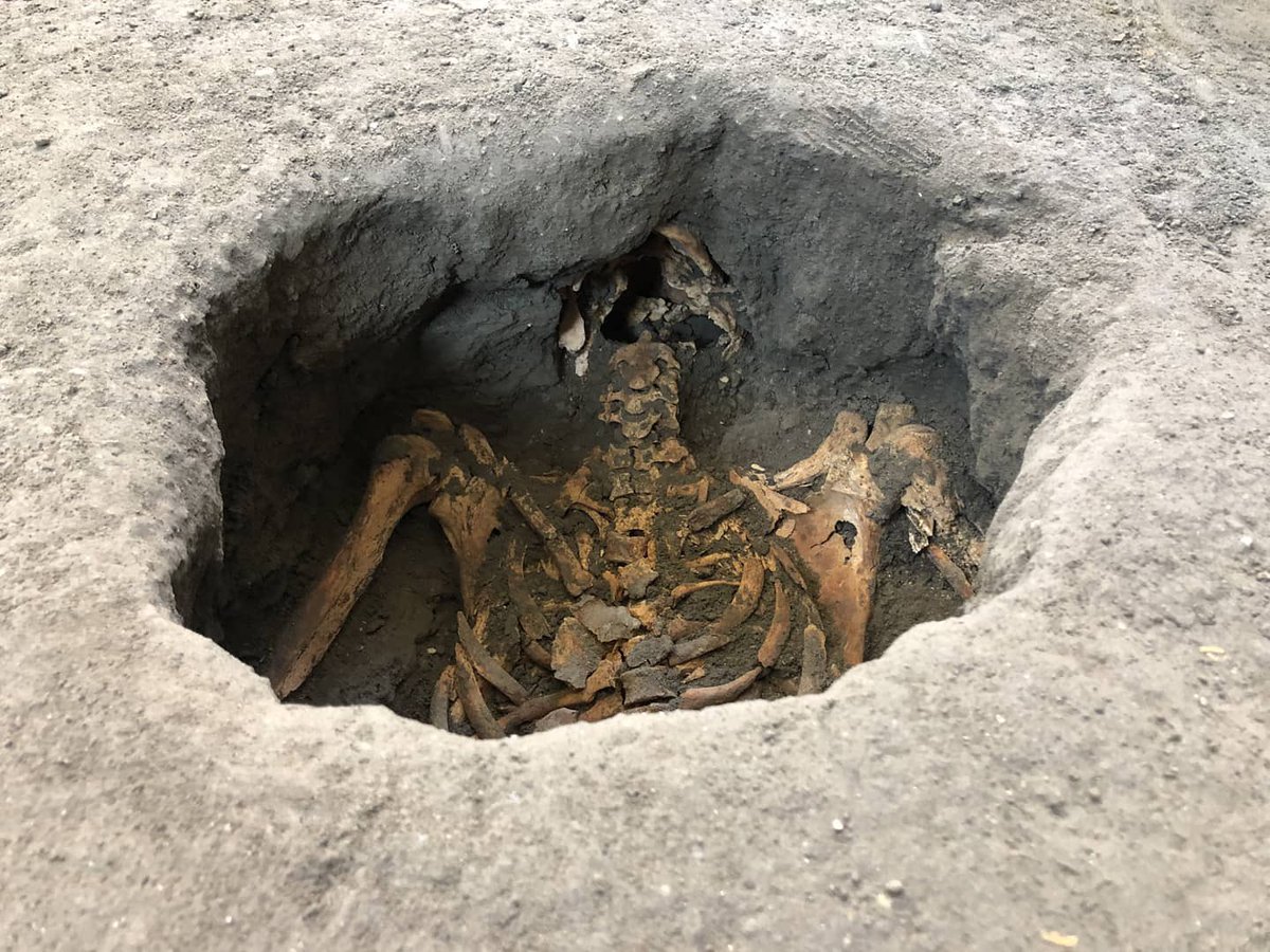 The hole in the ash was slightly enlargened to retrieve samples of the bones so that analysis can be made on them in order to determine facets of these people’s lives such as sex, age and health of the victim. The skull is usually too fragile to remove and so remains in the cast.