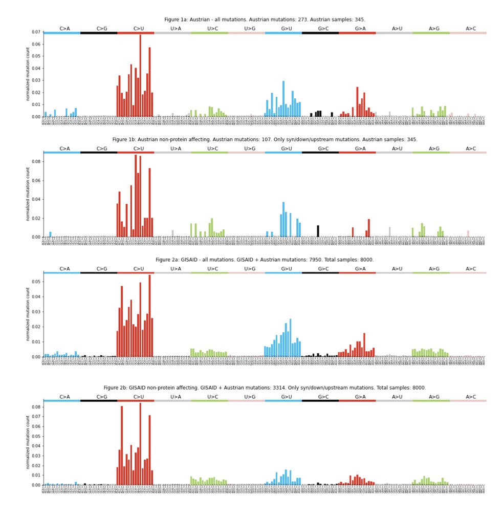 We first looked into the mutational profile of SARS-CoV-2 variants and observed a strong bias towards C>U, G>A, G>U mutations, with some U>C and A>G. This is maintained in synonymous variants, suggesting it is not a result of selection but of the operating mutational processes