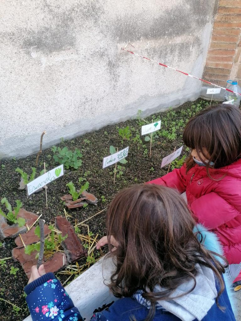 vedrunacent's tweet photo. Els nens i nenes de primer de Cicle Inicial estem ben enfeinats perquè hem volgut recuperar l'hort després de l'estiu: hem plantat les verdures de tardor, estem fent un registre per veure com creixen, les cuidem i aprenem coses noves de les plantes. #1PRIMSSCC https://t.co/JMRswGpggU