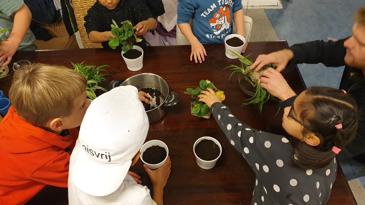 Zo leren we iedere dag weer... Er zijn dus ondernemers in #Rotterdam die bijzondere meubels verhuren, bijvoorbeeld aan expats. Wij moesten net als iedere ondernemer klein beginnen, dus de kinderen mochten plantjes stekken voor huurders 😉🪴👩🏼‍🎓 #onderwijs