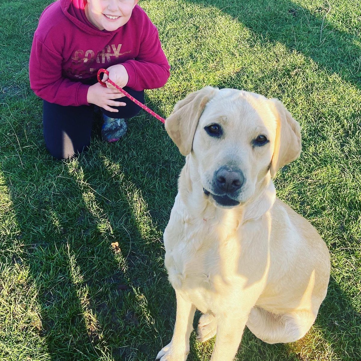 Let’s talk Movember .....
 
On Sunday we stepped off the farm, to refill our buckets by exploring some of  ‘nature’s artwork’ at another local gem, <a href="/NTCroftCastle/">NT Croft Castle</a> 
For your mental wellbeing, make time to step out of your busy lives and get back to the simple things in life ......