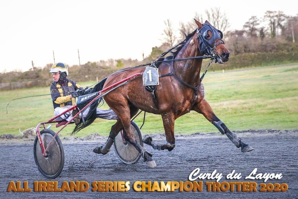 IrishTrotting's tweet photo. Congratulations to Curly du Layon trained by David Loughran and driven by Martin Loughran for winning the All-Ireland Series Champion Trotter 2020!

Thank you to series sponsors @REDMILLSHorse &amp; @LeTrot 

#AllIreland #IrishHarness #Champion https://t.co/FYxpbkFoYu